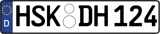 HSK-DH124