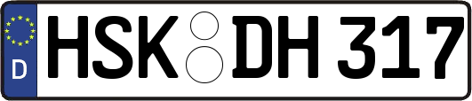 HSK-DH317