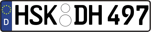 HSK-DH497