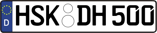 HSK-DH500
