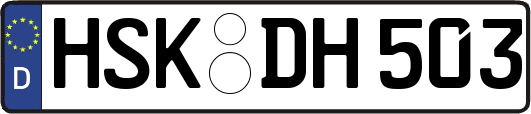 HSK-DH503