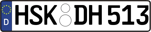 HSK-DH513