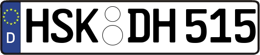 HSK-DH515