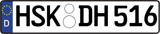 HSK-DH516