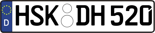 HSK-DH520