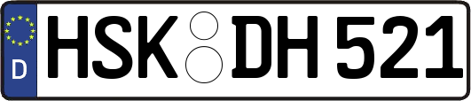 HSK-DH521