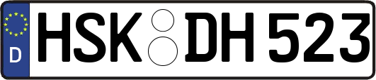 HSK-DH523