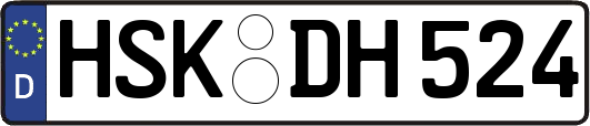 HSK-DH524