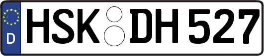 HSK-DH527