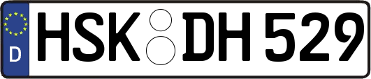 HSK-DH529