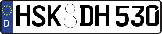 HSK-DH530
