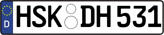 HSK-DH531