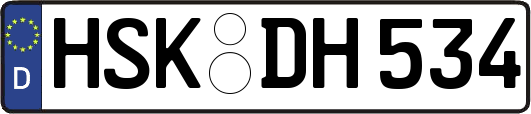 HSK-DH534