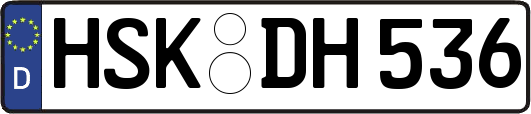 HSK-DH536
