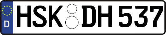 HSK-DH537