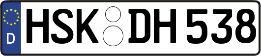 HSK-DH538