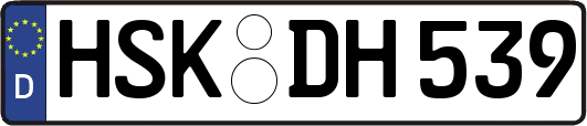 HSK-DH539