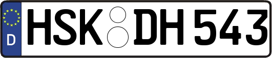 HSK-DH543