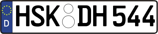 HSK-DH544