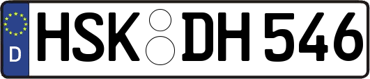 HSK-DH546