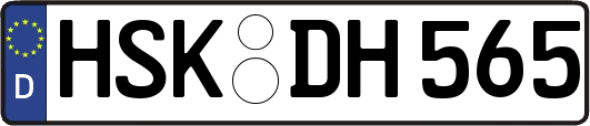 HSK-DH565