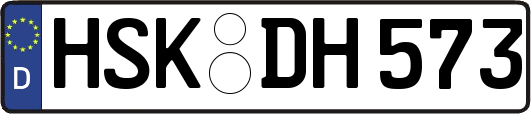 HSK-DH573