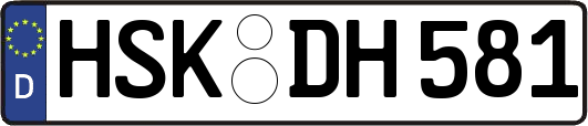 HSK-DH581