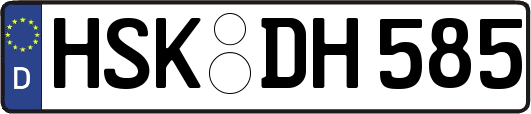 HSK-DH585