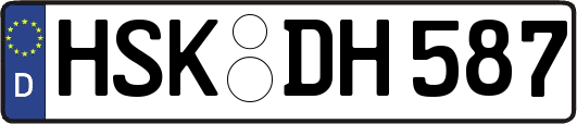 HSK-DH587