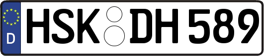 HSK-DH589