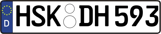 HSK-DH593