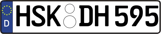 HSK-DH595