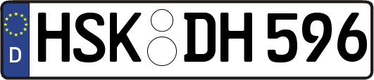 HSK-DH596