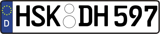 HSK-DH597