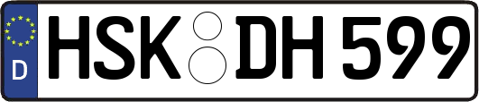 HSK-DH599