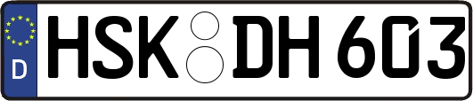 HSK-DH603