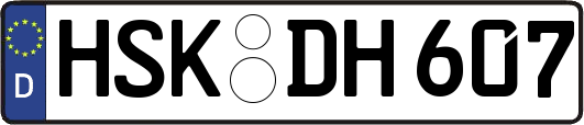 HSK-DH607