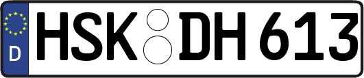 HSK-DH613