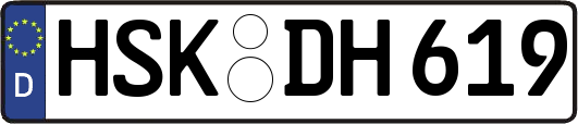 HSK-DH619