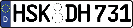 HSK-DH731