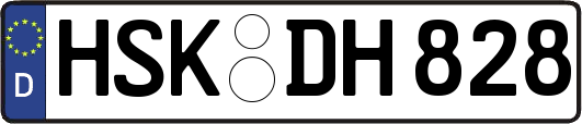 HSK-DH828