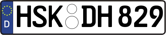 HSK-DH829