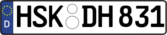 HSK-DH831