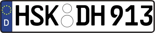 HSK-DH913