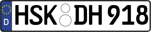 HSK-DH918