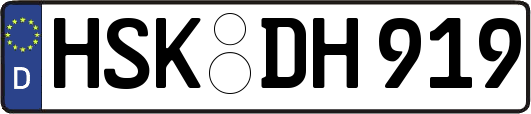 HSK-DH919