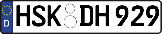 HSK-DH929
