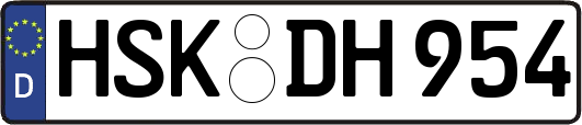 HSK-DH954