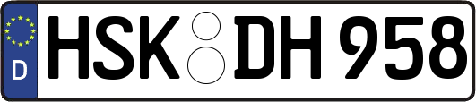 HSK-DH958