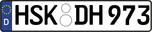 HSK-DH973
